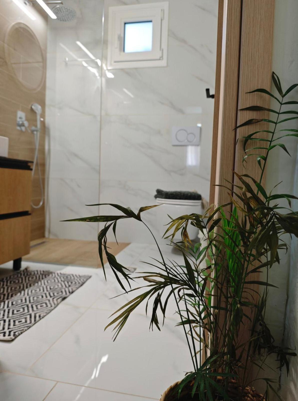 Apartament Captain's